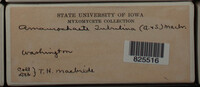 Image Associated With the Occurence